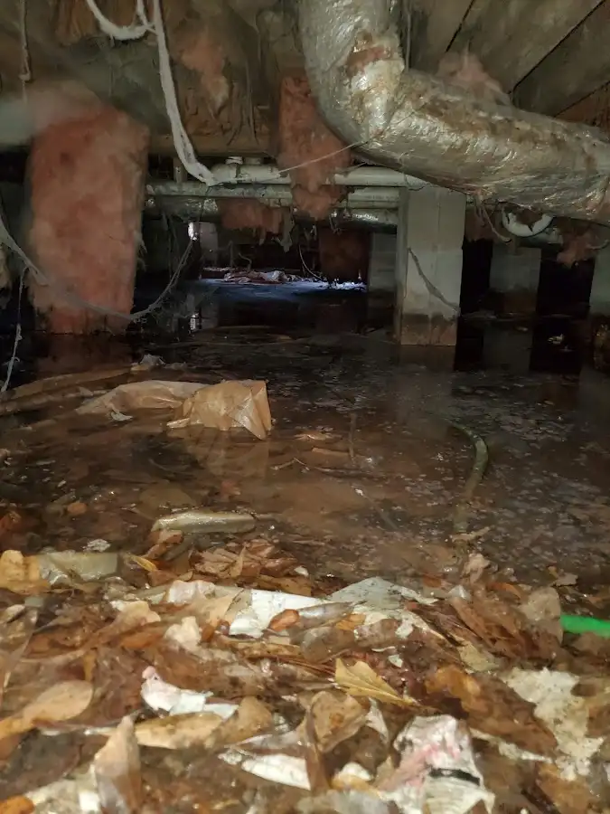 Crawl space flood assessment for Leak Detection & Repair in Douglasville